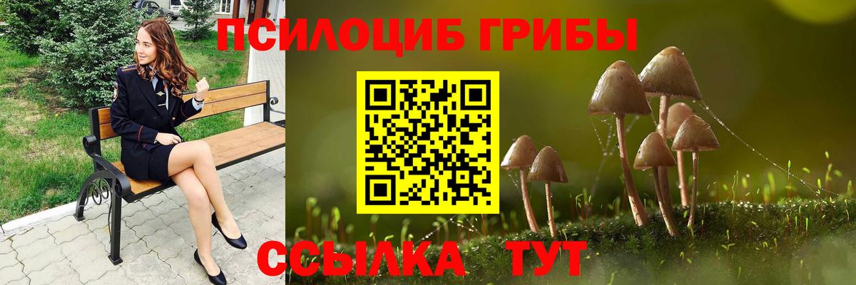 Галлюциногенные грибы GOLDEN TEACHER Петропавловск-Камчатский